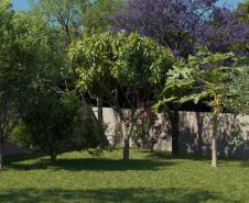 Morada Lumina 