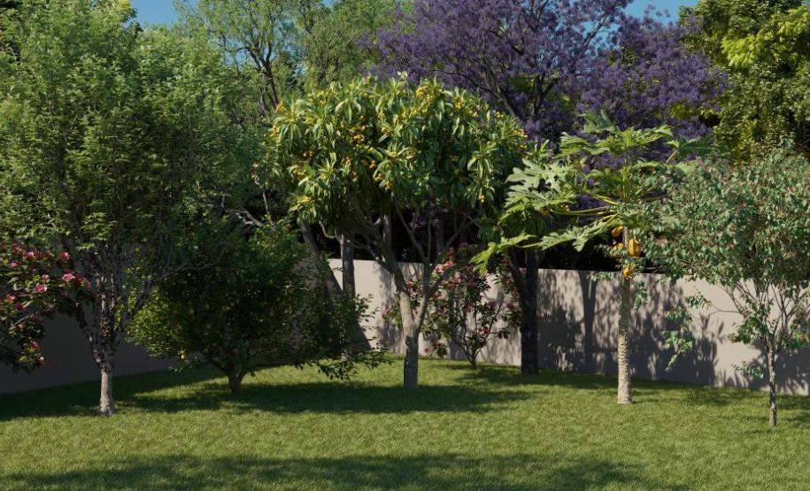 Morada Lumina